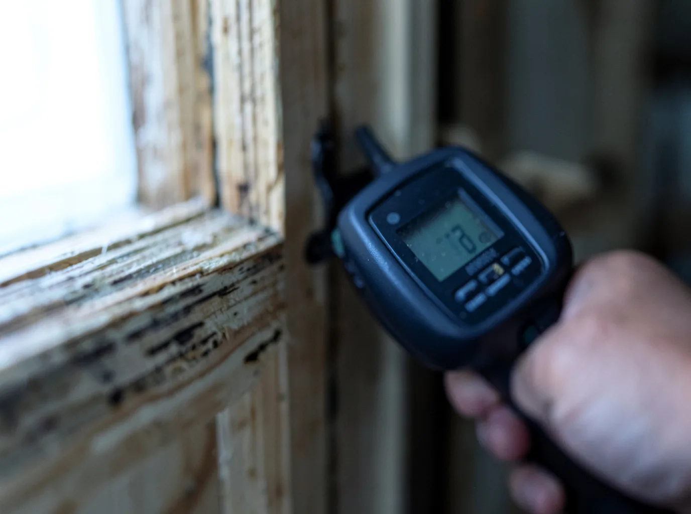 Moisture Inspection And Documentation in Mountainair, NM